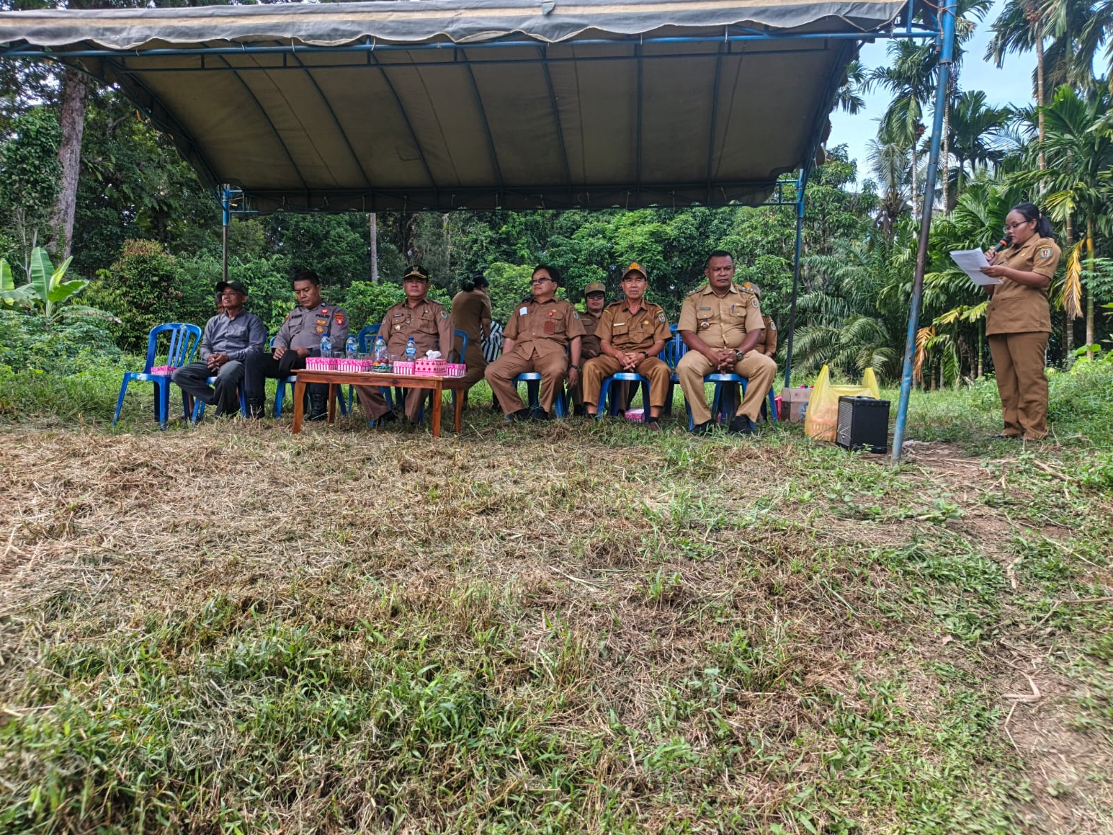 tsg